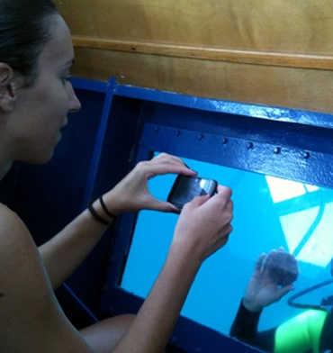 Diving excursions on boat Sapri, port of Sapri, Cilento excursions