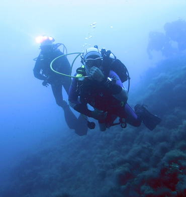 Diving excursions on boat Sapri, port of Sapri, Cilento excursions