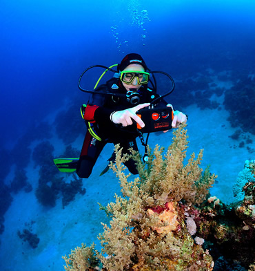 Diving excursions on boat Sapri, port of Sapri, Cilento excursions